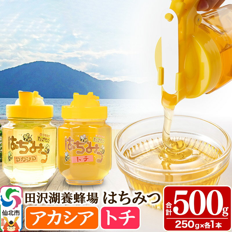 【ふるさと納税】秋田県産はちみつ（アカシア・トチ）250g×各1本 合計500g 化粧箱入り 詰め合わせセット 田沢湖養蜂場 [蜂蜜 はちみつ ハチミツ 国産 アカシア アカシヤ]
