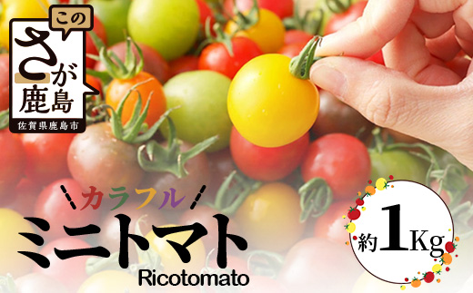 たにぐちファーム カラフルミニトマト 約1kg 『Ricotomato とりこになるトマト』 B-280