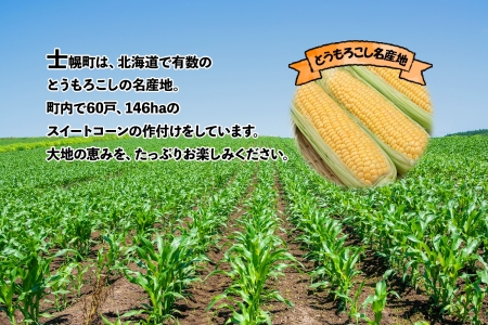 《期間限定》北海道 士幌産  とうもろこし  12本  (2025年8月上旬〜発送開始予定) 約5kg スイートコーン 採れたて コーン 期間限定 新鮮 野菜 産地直送 産直 お取り寄せ 送料無料 十