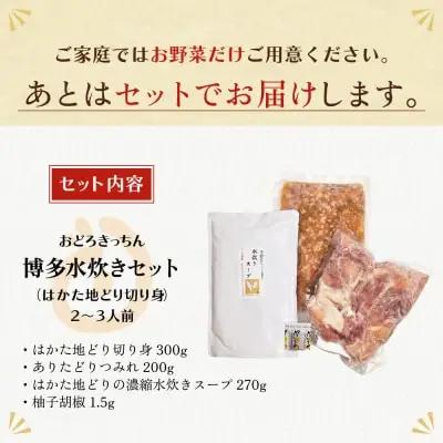 Z69-21 おどろきっちん 博多水炊きセット 2～3人前 水炊き