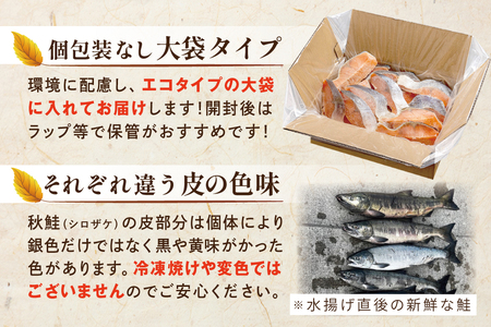 【訳あり】秋鮭ドンっ！無塩 秋鮭 切り身 1.5kg 【BT000PB05】（ さけ サケ 秋鮭 切身 鮭 切り身 鮭 訳あり 鮭 大人気 鮭 海鮮）