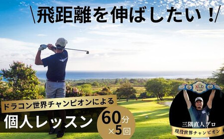 ドラコン現役世界チャンピオン“三隅直人プロ”による飛距離アップレッスン！60分（マンツーマンゴルフレッスン）×５回分 【ゴルフ】