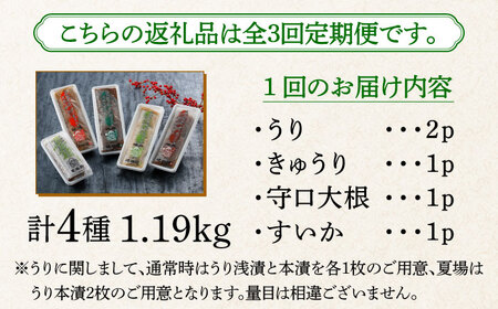 漬物 【全3回定期便】 奈良漬 4種 1.19kg [ABAE046] 漬物