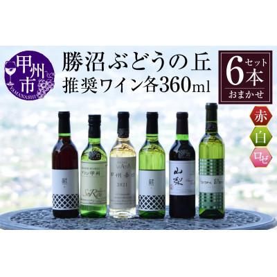 ふるさと納税 甲州市 【ソムリエ厳選ワイン】勝沼ぶどうの丘推奨ワイン360ml×6本セット　C-651
