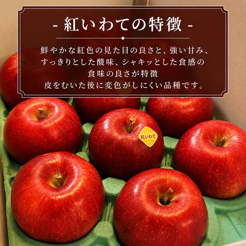 【9月下旬～発送】紅いわて りんご 3kg (8～12玉)  北田りんご園 りんご kitada011