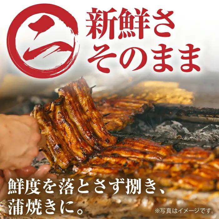 高知県産 うなぎ蒲焼き 約90g×2尾 タレ付き / うなぎ 鰻 ウナギ 国産うなぎ 【株式会社 四国健商】 [ATAF064]