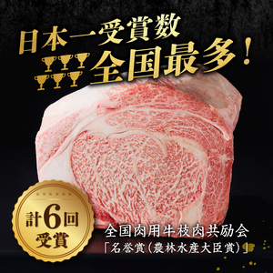 前沢牛切り落としスライス(500g) ブランド牛肉[U0040]