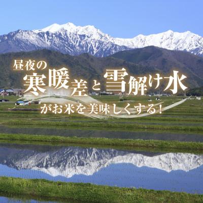 ふるさと納税 十日町市 魚沼産 こしひかり 10kg 精米 新潟県十日町市 |  | 01