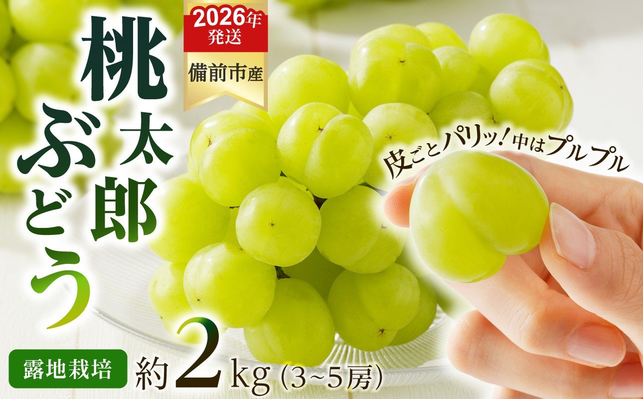 
            【2026年発送分　先行受付開始！】びぜん葡萄「桃太郎ぶどう」（露地栽培）約2kg入（令和8年9月上旬～10月中旬頃発送）【 岡山県備前市産 桃太郎ぶどう 露地栽培 約2kg入 (3～5房目安) 樹上完熟 】
          