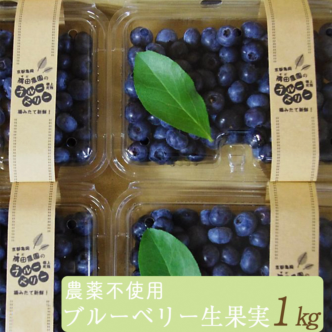
                  朝摘み ブルーベリー 生果実 1kg 栽培期間中農薬不使用 ＜すだ農園＞ ◇ ｜ 果実 新鮮 フルーツ 冷蔵 ※2026年7月～発送
                