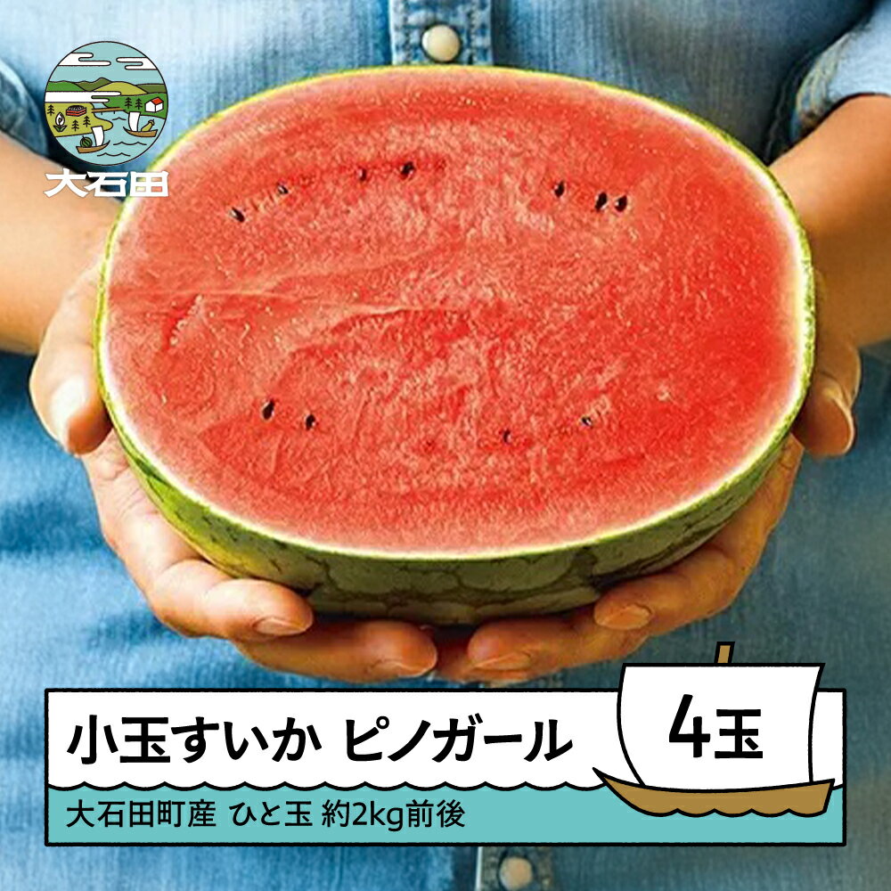 【ふるさと納税】すいか 小玉すいか ピノガール 約2kg前後×4玉 2026年産 令和8年産 送料無料 スイカ 山形県産 大石田町産 mn-sukxx4