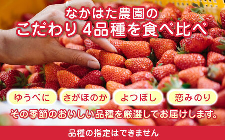 【先行予約】【2025年12月より順次発送】【全5回定期便】いちご 4品種 食べ比べ セット 250g×4P 【なかはた農園】[YBI061]