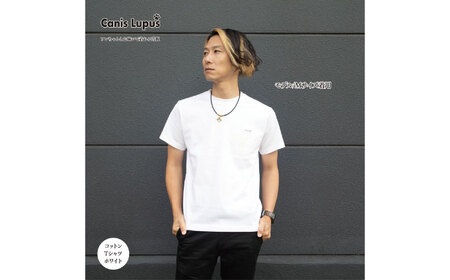 コットンTシャツ ホワイト （S-XLサイズ） / Tシャツ / 佐賀県 / Canis Lupus [41AAAN002]