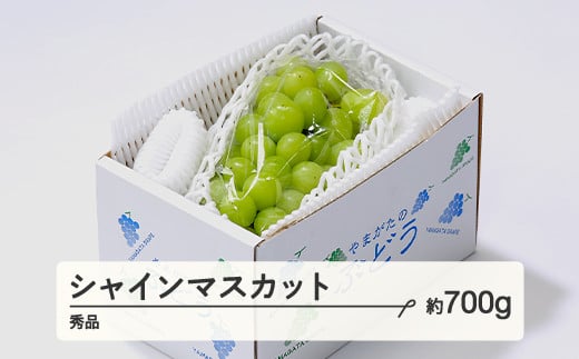 ぶどう シャインマスカット 秀品 約700g以上(1~2房程度)  2025年産 山形県産 ※沖縄・離島への配送不可 tf-busmx700