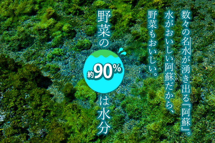 【選べる内容量】季節の お野菜 セット Sサイズ（3品） 詰め合わせ やさい 果物 新鮮 減農薬 高原 旬 産地直送 採れたて 朝採れ みずみずしい 甘い 美味しい 人気 安心 安全 おすすめ お中元