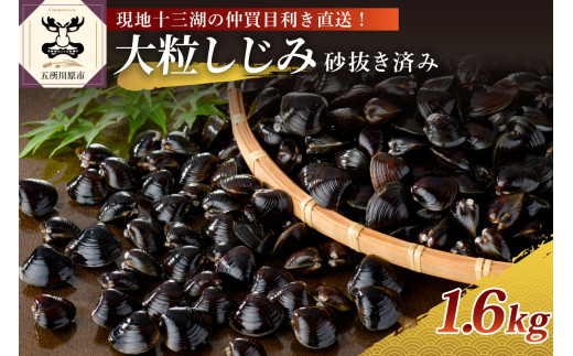 
津軽十三湖産 大粒しじみ冷凍1.6kg （冷凍・砂抜き済）
