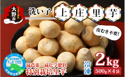 【先行予約】【皮むき不要】減農薬・減化学肥料の特別栽培里芋 上庄里芋 冷凍 洗い子 2kg（500g×4袋）【10月～年内出荷】