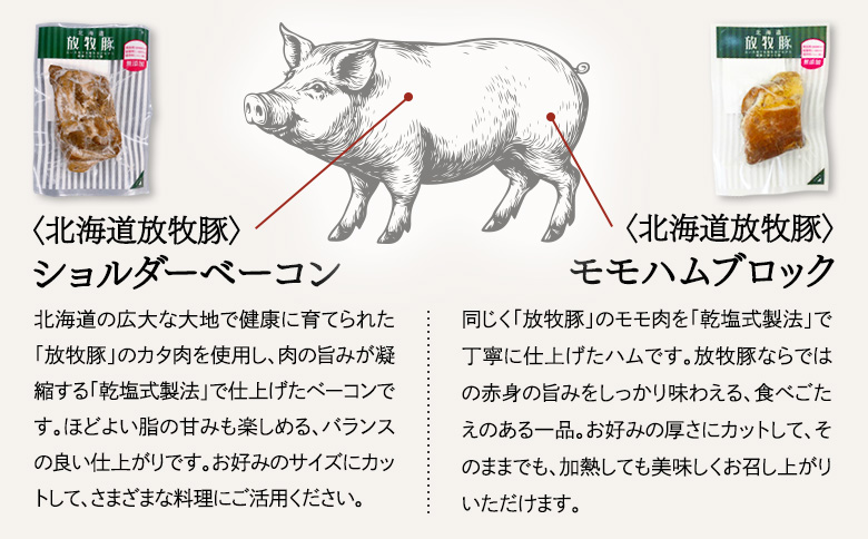 「北海道放牧豚ショルダーベーコンとモモハムブロック」とトモヱベーグル「北の麦輪」18個セット【C99032】_イメージ4