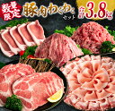 【ふるさと納税】数量限定 豚肉 わくわく セット 合計3.8kg ポーク 国産 豚ロース とんかつ スライス 豚切り落とし 豚バラ しゃぶしゃぶ ミンチ 挽肉 ハンバーグ すき焼き 弁当 おかず おつまみ 万能食材 真空パック 大容量 詰め合わせ お取り寄せ 宮崎県 日南市 送料無料