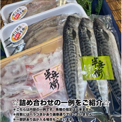 ふるさと納税 小田原市 【毎月定期便】厳選!おまかせ干物セット【松】小田原の美味しい干物!【神奈川県小田原市早川】全9回 |  | 02
