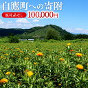 【ふるさと納税】白鷹町への寄附（返礼品はありません） 100,000円 山形県 白鷹町 返礼品なし