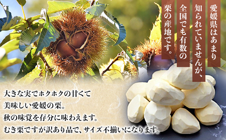 ＜訳あり むき栗 150g入り×2袋 愛媛県西予市産＞ くり 生栗 剥き栗 フルーツ マロン モンブラン 家庭用 栗ご飯 栗きんとん 栗の甘露煮 秋の味覚 特産品 国産 宇都宮物産 愛媛県 西予市【冷