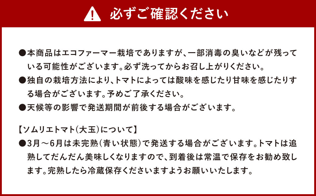 ソムリエ トマト  4kg × 2箱