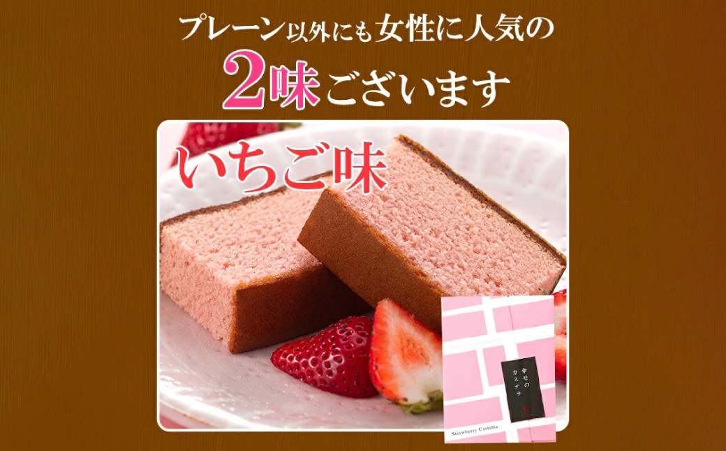 【選べる味】 プチギフト 個包装 カステラ一切れ入り（38g）×10個入 ギフト用 贈答用 合計380g