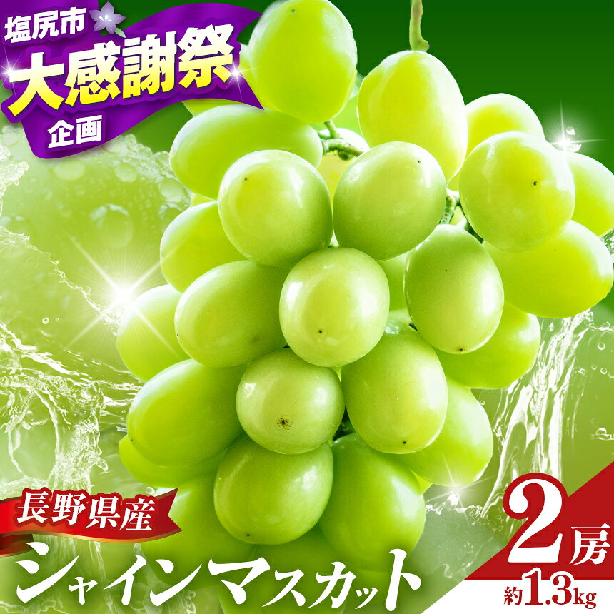 【ふるさと納税】【2026年先行予約！】シャインマスカット 2房 (約1.3kg）（2026年9月下旬より発送予定） | シャイン ぶどう 葡萄 ブドウ くだもの 果物 フルーツ マスカット しゃいん ますかっと 先行 先行予約 長野県 塩尻市
