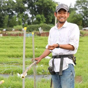 にんじんジュース りんごミックス 350ml×6本 オーガニックファーム所沢農人 | 埼玉県 所沢市 ジュース 人参 人参ジュース 野菜ジュース リンゴ フルーツ ミックスジュース 果肉 トロトロ 濃