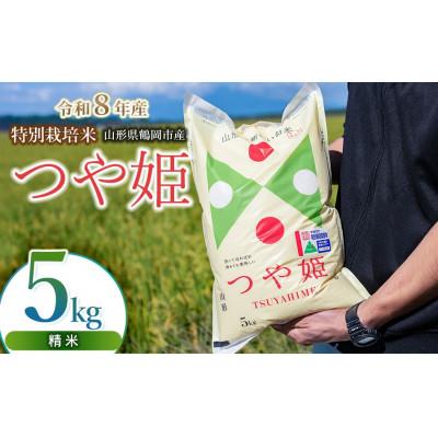 ふるさと納税 鶴岡市 【令和8年産】 馬町さくらファームの特別栽培米つや姫 精米 5kg K-835