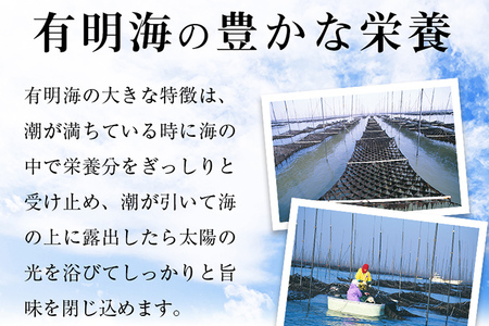 焼き海苔 ボトル4本 （10切 100枚×4本 計400枚） 有明海苔