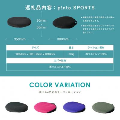 ふるさと納税 玖珠町 p!ntoSports[Blue] |  | 03