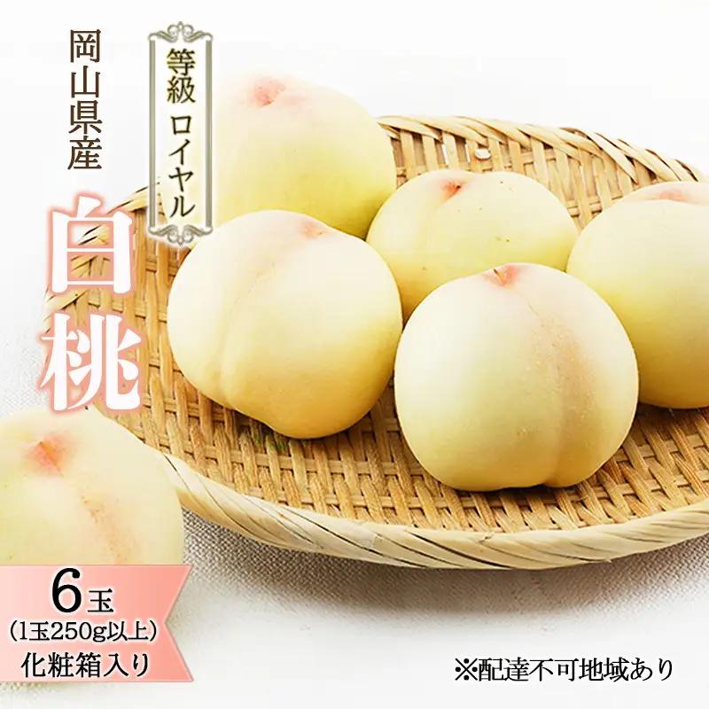 白桃 ロイヤル 化粧箱入り 岡山県産 白桃【6玉 1玉250g以上】【先行予約】