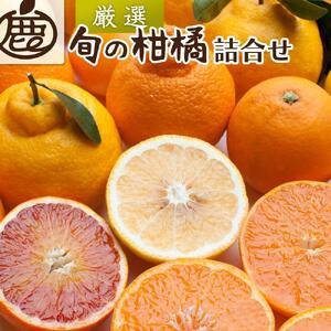 ＜1月上旬～4月下旬発送＞厳選 柑橘詰合せ約2kg+60g（傷み補償分）【有田の春みかん詰め合わせ・フルーツ詰め合せ・オレンジつめあわせ】【光センサー選別】