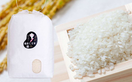 米 令和7年産 石原果樹園の備前乙女米 白米 10kg×1袋 ※11月上旬～順次発送予定 お米 精米 白米 ライス  乳酸菌栽培 岡山県 おにぎり お弁当