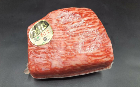 熊本県産 A5等級 黒毛和牛 和王 赤身ブロック 約500g×2P 計約1kg【帝神志方ミート 株式会社】[AYCH060]