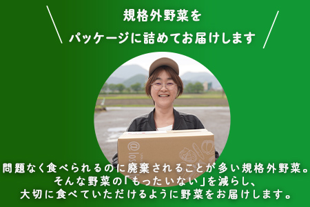 多数のメディアで紹介されました！【訳あり】旬のもったいないお野菜詰め合わせセット　Sサイズ Sサイズ