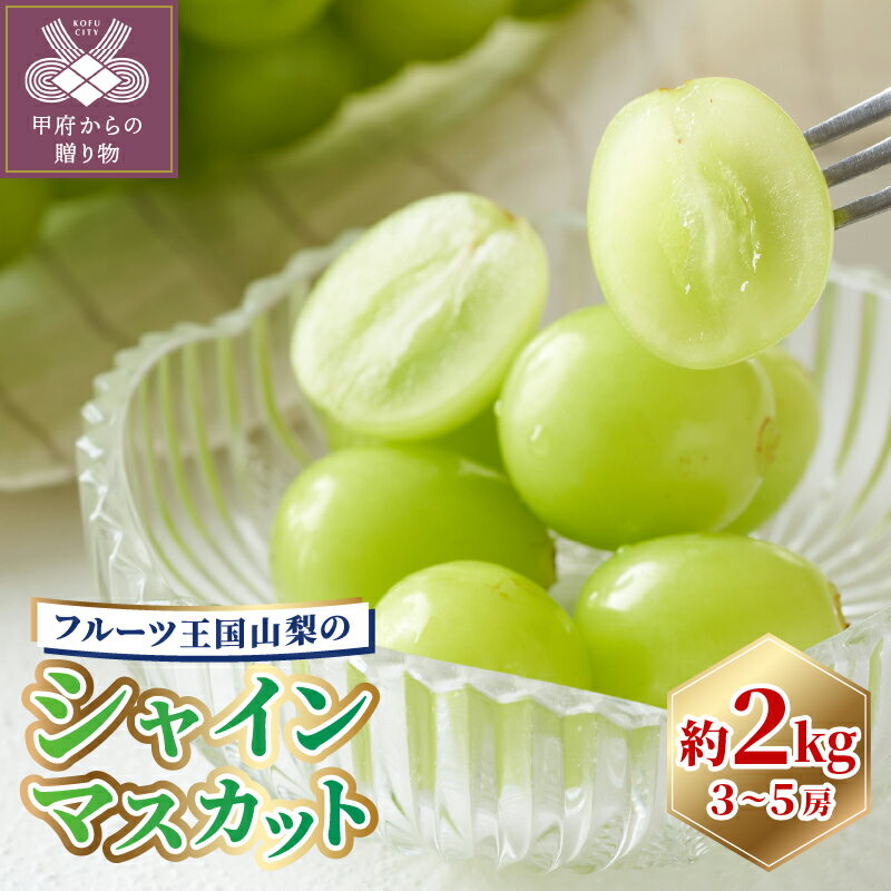 【ふるさと納税】 先行予約 シャインマスカット 山梨県産 甲府市産 ぶどう フルーツ 果物 3~5房 冷蔵 2kg 1箱 2kg以上 厳選 種なし 皮ごと 甘い フルーツ王国 山梨 数量限定 期間限定 2026年8月下旬～9月下旬頃順次発送 k305-002