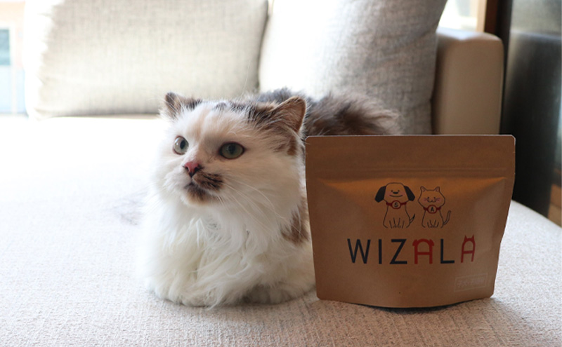 おまとめ２点セット　ウィズアラ成犬成猫用（ペット用サプリメント） ペット用品 健康サポート ペットの健康 5-アミノレブリン酸 パウダータイプ 個包装 カツオ粉末配合 