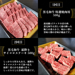 訳あり 京都府産黒毛和牛(A4・A5)人気部位 6回定期便 【焼肉・すき焼き・ステーキ2種・しゃぶしゃぶ・ローストビーフ 計2.54kg】 京の肉 ひら山 味わいづくし ≪定期便 牛 和牛 黒毛和牛 