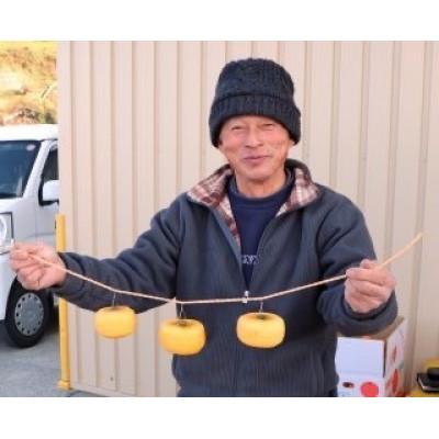 ふるさと納税 橋本市 柳フルーツ園の干し柿セット 約7kg |  | 02