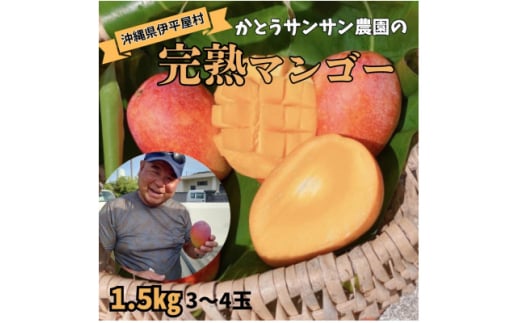 ＜2025年7月頃発送＞離島の恵み　完熟マンゴー1.5kg【1497087】