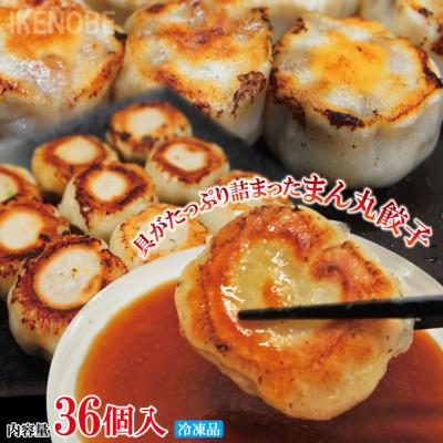 ふるさと納税 常陸大宮市 【ふるさと納税】まん丸生餃子冷凍　約30g×36個入り(1パック6個入り×6パック)