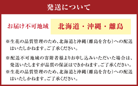 159-890-C 【シック系】フローリストセレクト (おまかせ) 季節のフラワーブーケ フラワー お花 花束