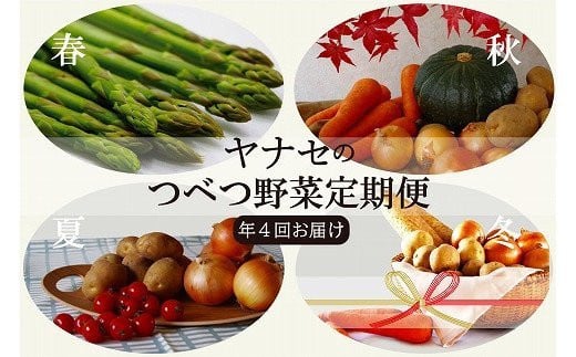 
つべつ野菜定期便　（年4回お届け）　ヤナセ農園/055-27139-b04A
