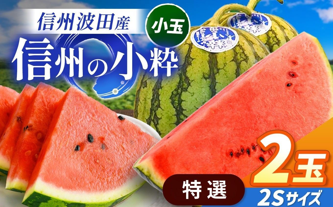 
            【先行受付：2026年7月発送】信州波田産 小玉スイカ ！信州の小粋 【特選】 2玉 2Sサイズ｜ふるさと納税 長野県 信州 松本 果物 フルーツ すいか スイカ 西瓜 贈答 季節限定 甘い くだもの ふるーつ
          