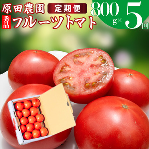 【ふるさと納税】定期便 5回【2025年12月下旬～順次発送 】＜フルーツトマト 原田農園 約800g 小箱＞ 桃太郎 【常温】送料無料　＜毎年12月上旬頃まで申込受付＞