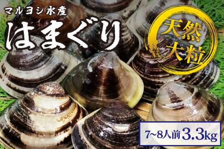 【指定日必須】マルヨシ水産　桑名産大粒天然蛤　3.3kg_はまぐり　ハマグリ　魚介　貝　魚貝　活はまぐり　焼きはま　海鮮　網焼き　酒蒸し　お吸い物　パエリア　パスタ