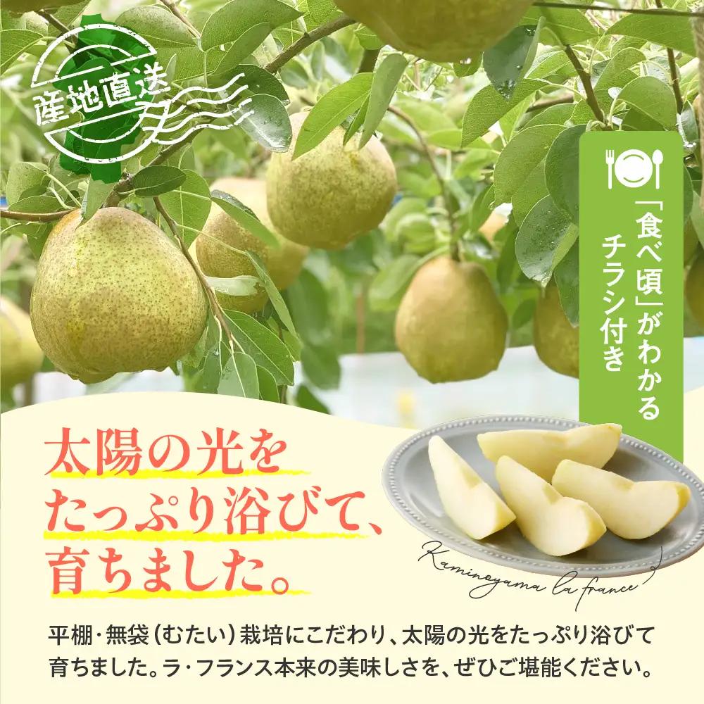 ラ・フランスとふじりんごの詰め合わせ　３ｋｇ　0079-2623